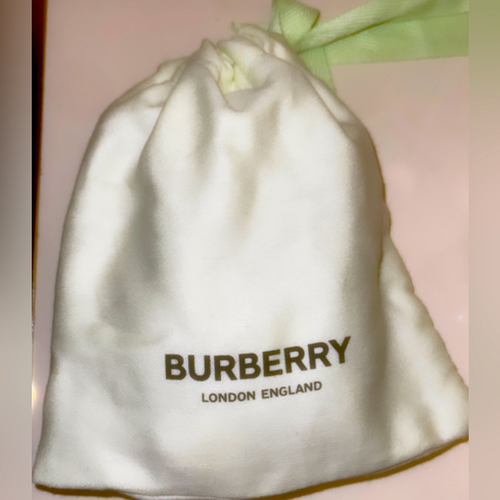 New season Burberry Tie